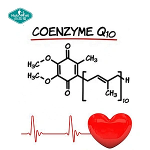 Suplemento antienvejecimiento de coenzima de materia prima soluble en agua Nutrifirst Cas 303-98-0 coenzima Q10 CoQ 10 en polvo