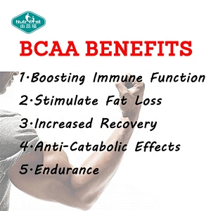 Bulk Raw Material Optimum Nutrition Muscle Building Bcaa Glutamine Amino Powder CAS 69430-36-0