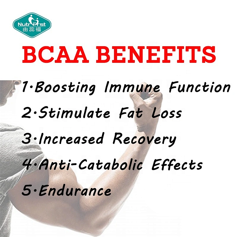 Bulk Raw Material Optimum Nutrition Muscle Building Bcaa Glutamine Amino Powder CAS 69430-36-0