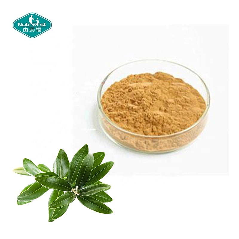 Proveedor de fábrica ISO de China Polvo de extracto de hoja de olivo a granel 40% 70% Extracto de hoja de hidroxitirosol de oleuropeína Oliva