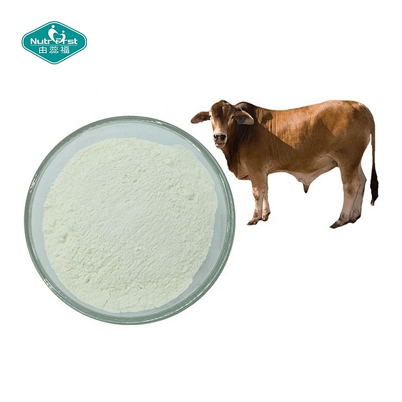 Cápsulas de ácido hialurónico de colágeno de cúrcuma MSM de condroitina de glucosamina personalizada Nutrifirst con embalaje a medida