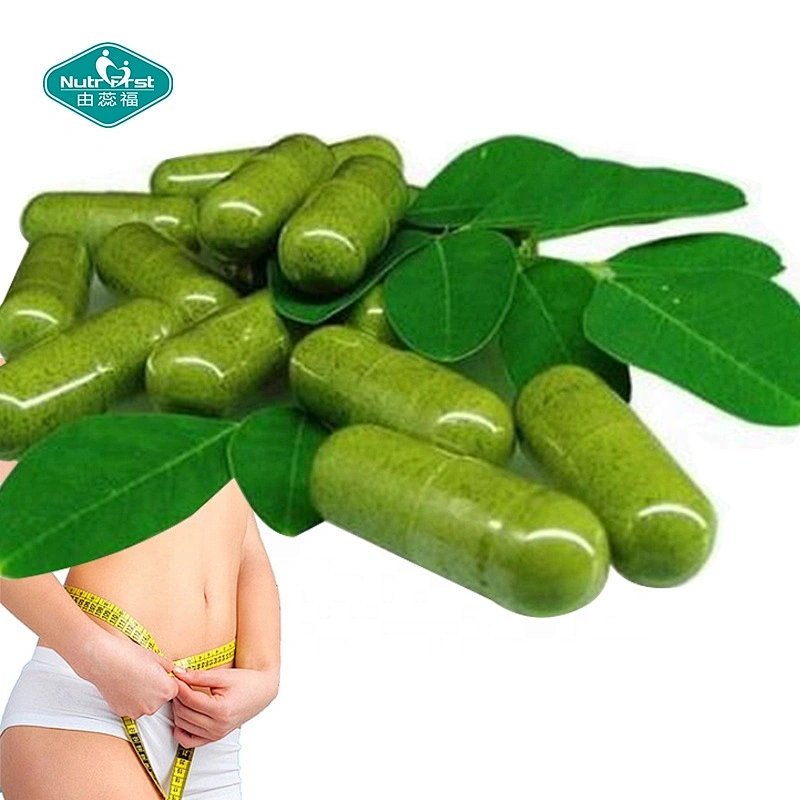 Productos para perder peso Dieta Extracto de hierba delgada Cápsulas de extracto de hoja de Moringa Oleifera Suplemento de hierbas orgánicas