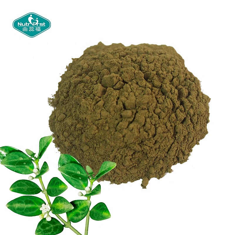 Chinese Herbal Plant Raw Material Gymnema Sylvestre Leaf Gymnema Powder Gymnema Extract in Bulk