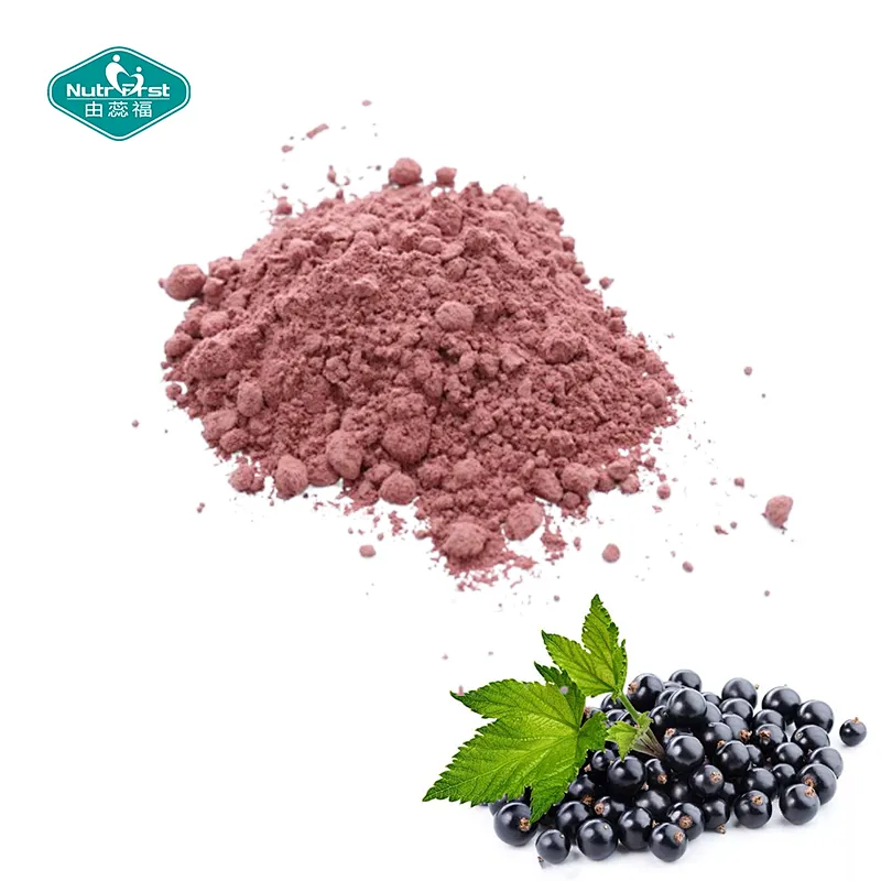 Nutrifirst Bespoke Black Currant Flour Frozen-Dried Black Currant Water Soluble Extract Powder with Customized Packaging