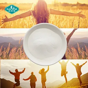 Nutrifirst Vitamina B1 Tabletas Suplementos dietéticos con calcio apoya la salud del sistema nervioso Fuerza ósea