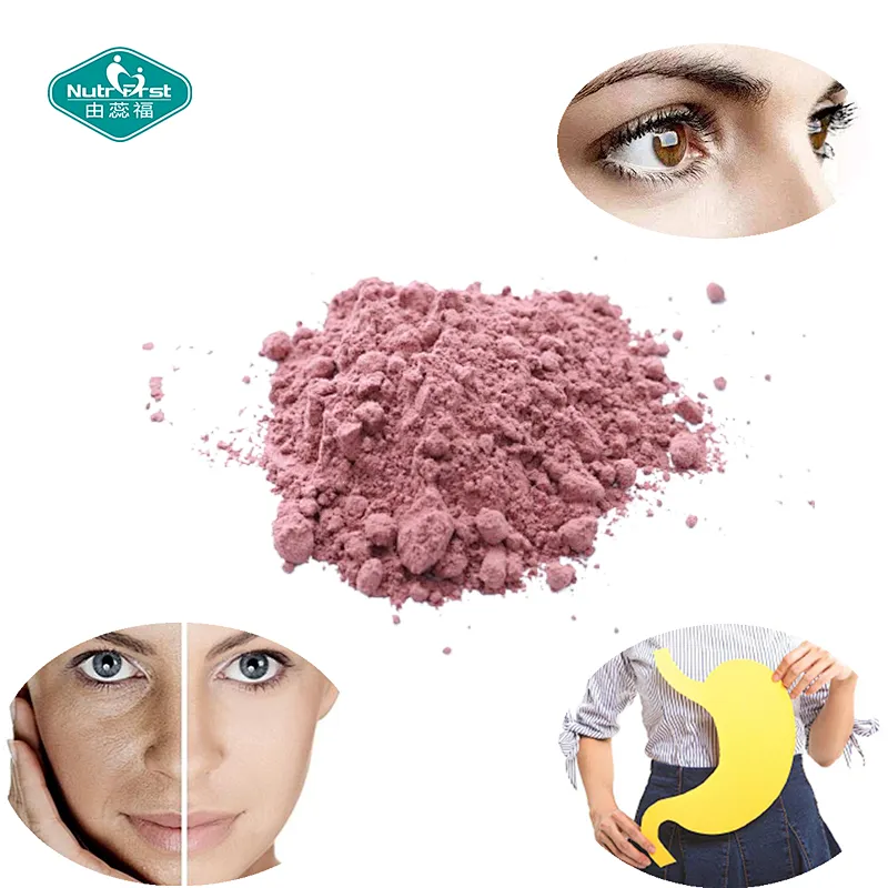 Nutrifirst Bespoke Black Currant Flour Frozen-Dried Black Currant Water Soluble Extract Powder with Customized Packaging