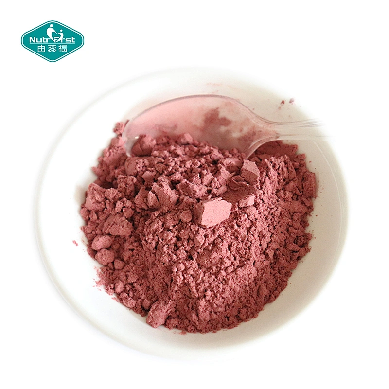 Nutrifirst Health Superfood Suplemento Ultra Berry Fruit Blend Bebida de belleza Polvo a granel para el cuidado de la piel