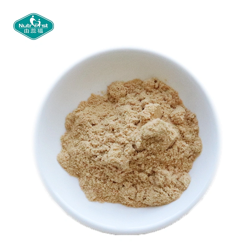 Polvo de Noni de grado alimenticio Nutrifirst, polvo de extracto de fruta Ultra, polvo de fruta de Noni secado por pulverización fresco puro