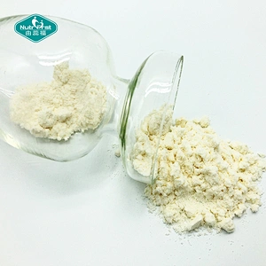 Nutrifirst 100% Trans Fermented Vitamin K2 MK4 MK7 Powder Raw Materials Menaquinone Vitamin K2 Supplements