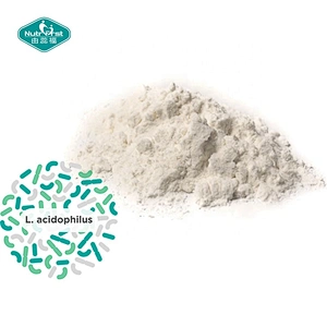 Suplementos de probióticos para la diarrea Lactobacillus Acidophilus Probióticos 60 mil millones de polvo de múltiples cepas a granel