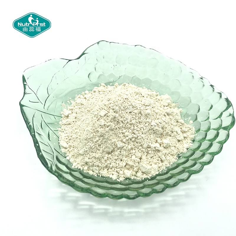 Hangover Prevention Vine Tea Extract Ampelopsis Grossedentata Dihydromyricetin Powder 98% DHM CAS 27200-12-0