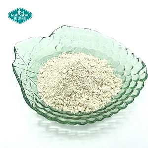 Hangover Prevention Vine Tea Extract Ampelopsis Grossedentata Dihydromyricetin Powder 98% DHM CAS 27200-12-0