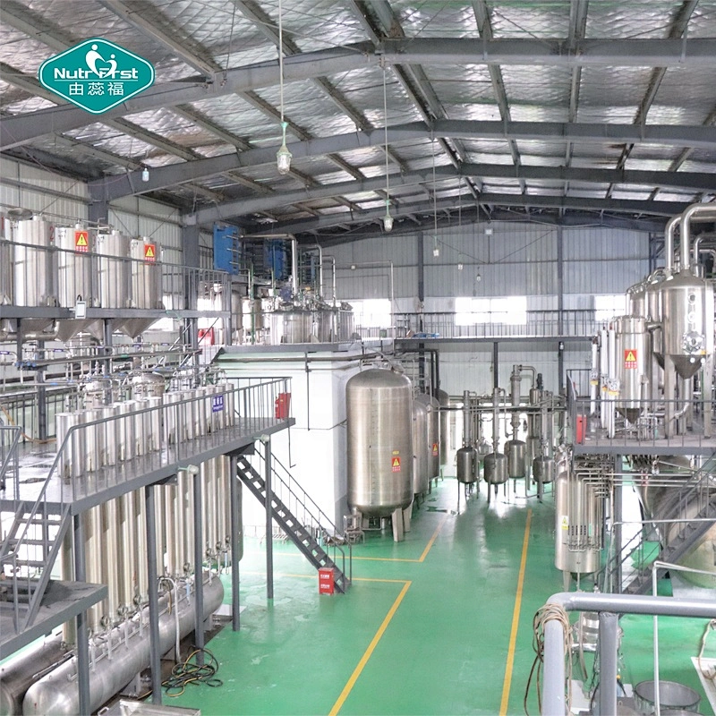 Aditivos alimentarios Nutrifirst Polvo de raíz de jengibre soluble en agua instantáneo orgánico Gingerol Extracto de jengibre negro