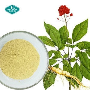 Herbal Extarct Panax Ginseng Extract Powder