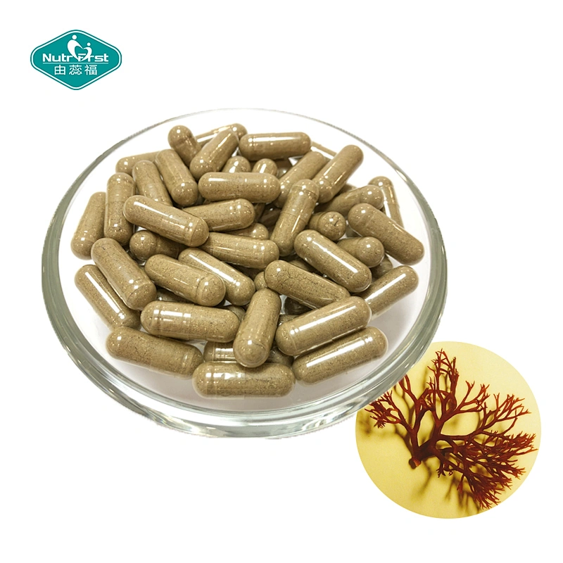 Nutrifirst Herbal Supplements Sea Moss Bladderwrack Burdock Blend Extract Powder Capsule for Immune
