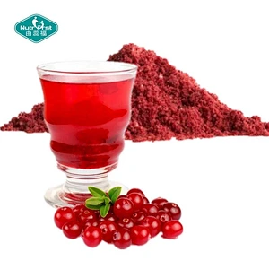 Polvo de extracto soluble en agua de fruta de arándano deshidratado congelado de harina de arándano a medida Nutrifirst con embalaje personalizado