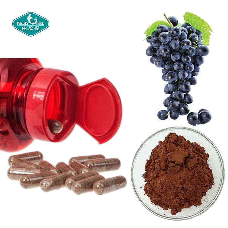 Non-GMO Organic 95% OPC Vitis Vinifera Grape Seed Extract Antioxidant Grapeseed Extract Supplement