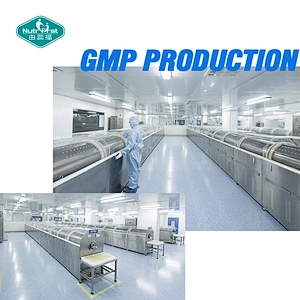 Cápsula de gel suave de astaxantina de 1000 mg de aceite de krill antártico OEM de etiqueta privada Nutrifirst con Omega 3 EPA DHA
