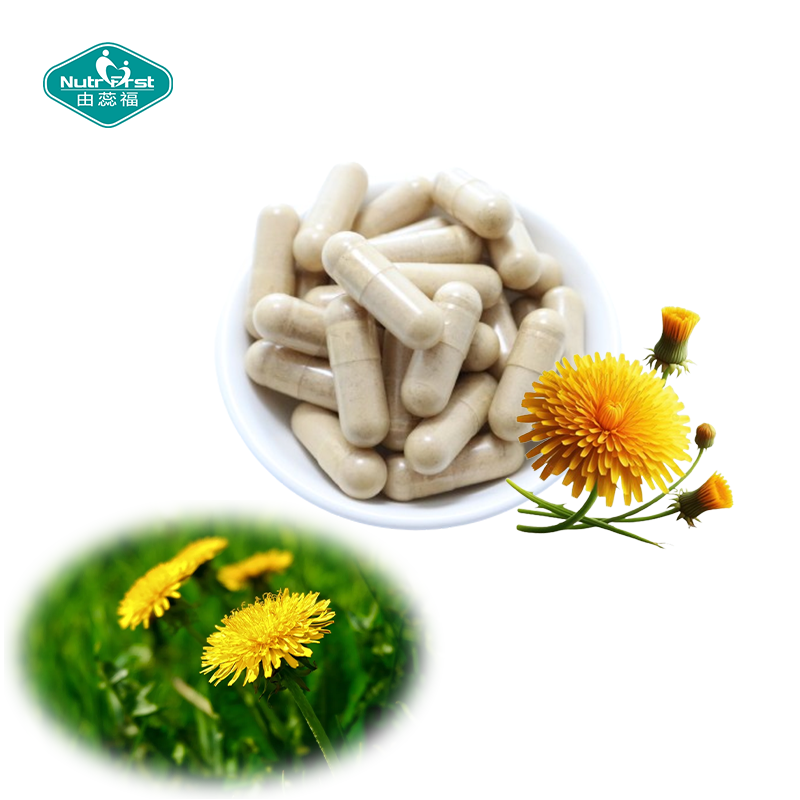 Nutrifirst Dandelion Root Capsules Supports Liver Promotes Healthy Digestion Dietary Supplement in Bulk