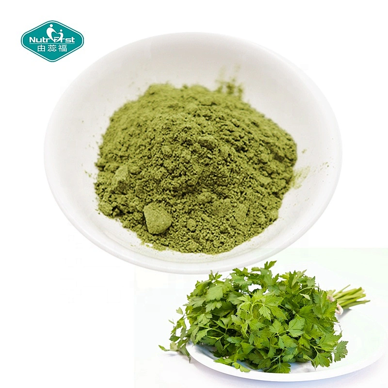 Polvo de perejil liofilizado de extracto vegetal de grado alimenticio orgánico de extracción sólida Nutrifirst a granel