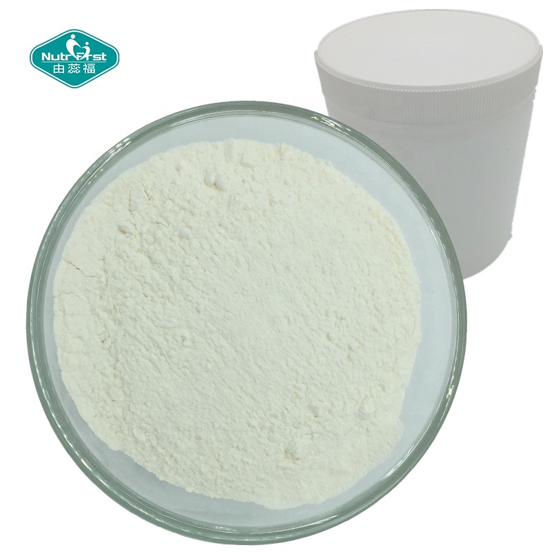 Bulk Raw Material Optimum Nutrition Muscle Building Bcaa Glutamine Amino Powder CAS 69430-36-0