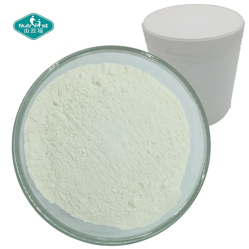 Bulk Raw Material Optimum Nutrition Muscle Building Bcaa Glutamine Amino Powder CAS 69430-36-0