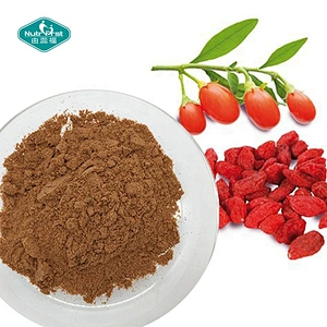 Polvo de jugo de fruta de Goji orgánico al por mayor chino, extracto de Wolfberry, polvo liofilizado de bayas de Goji, Soluble en agua