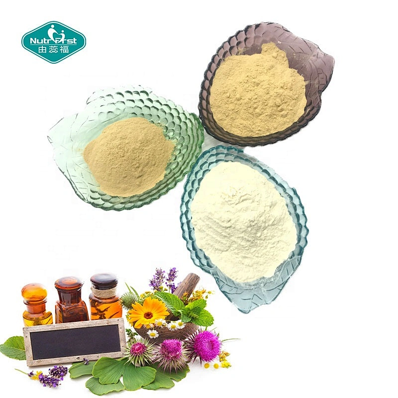 Nutrifirst Ginkgo Biloba Ginkgo Biloba Leaf Extract Powder Folium Ginkgo with 24% Flavone