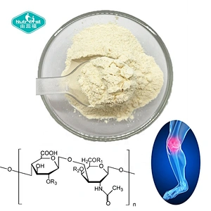 Raw Material Food Grade Halal Chondroitin 85%~95% Bulk Chondroitin Sulfate Sodium Powder Cas No.9082-07-9