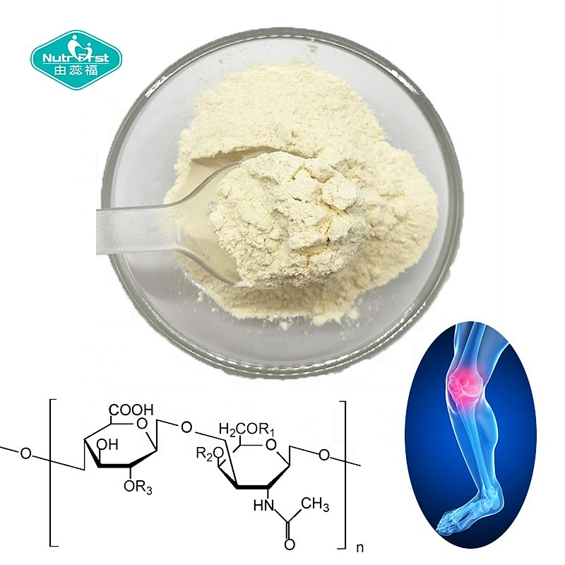 Raw Material Food Grade Halal Chondroitin 85%~95% Bulk Chondroitin Sulfate Sodium Powder Cas No.9082-07-9