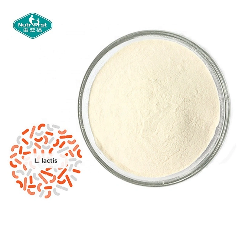 Nutrifirst Private Label Probiotics Products Lactococcus Lactis Powder Immune Booster Supplements