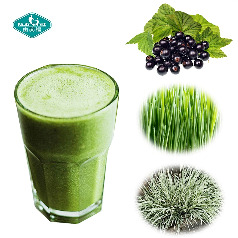 Private Label Customized Green Powder Superfood Super Green Smoothie Water Soluble Health Powder