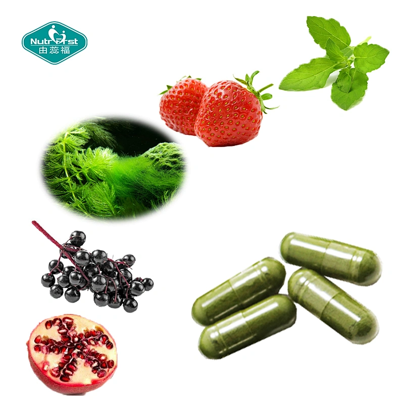 Fórmula a medida Superfood Ultimate Nutrients Blend Powder Cápsula vegana para la salud digestiva del cerebro