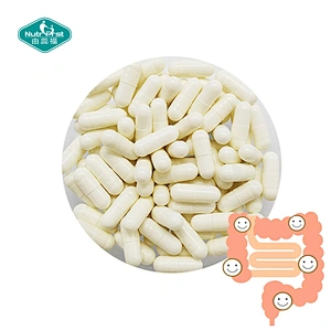Formulación a medida Regular la flora intestinal Suplemento probiótico Saccharomyces Boulardii Cápsulas Probióticos