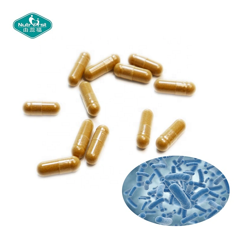 Nutrifirst OEM Probióticos Suplementos Extracto de raíz de achicoria Probiótico LGG Cápsulas para digestivo e inmunológico