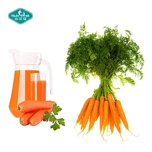 Nutrifirst Wholesale Bulk 100% Pure Organic Carrot Juice Concentrate Extract Powder Freeze Dried Carrot Powder