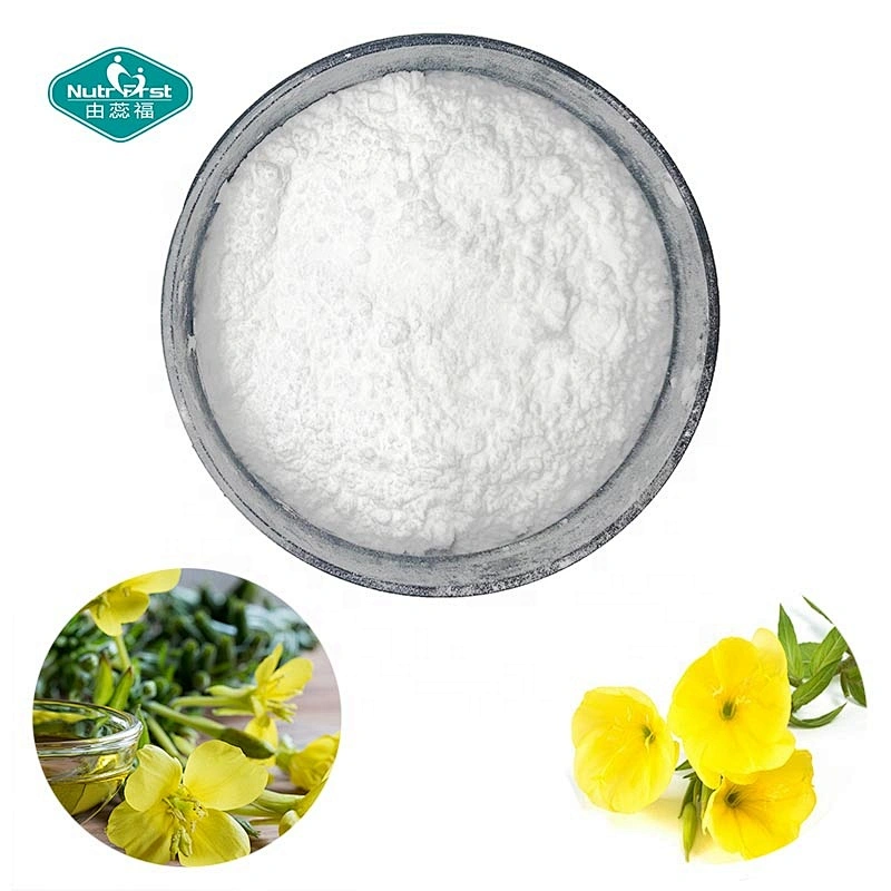 Fabricante Sypply 5% GLA G-linoleic acid Evening Primrose Flower Oil Extract Powder para antitrombótico