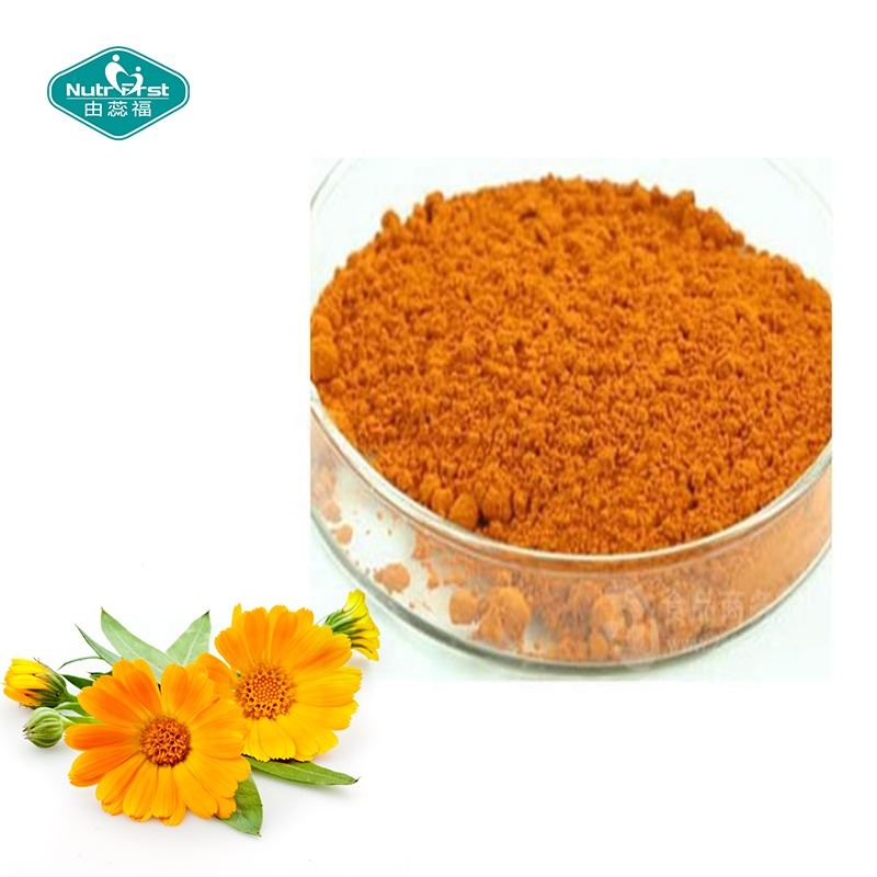 Extracto de hierbas Professional Factory Non-GMO Gluten Free Organic Marigold Calendula Officinalis Extracto en polvo