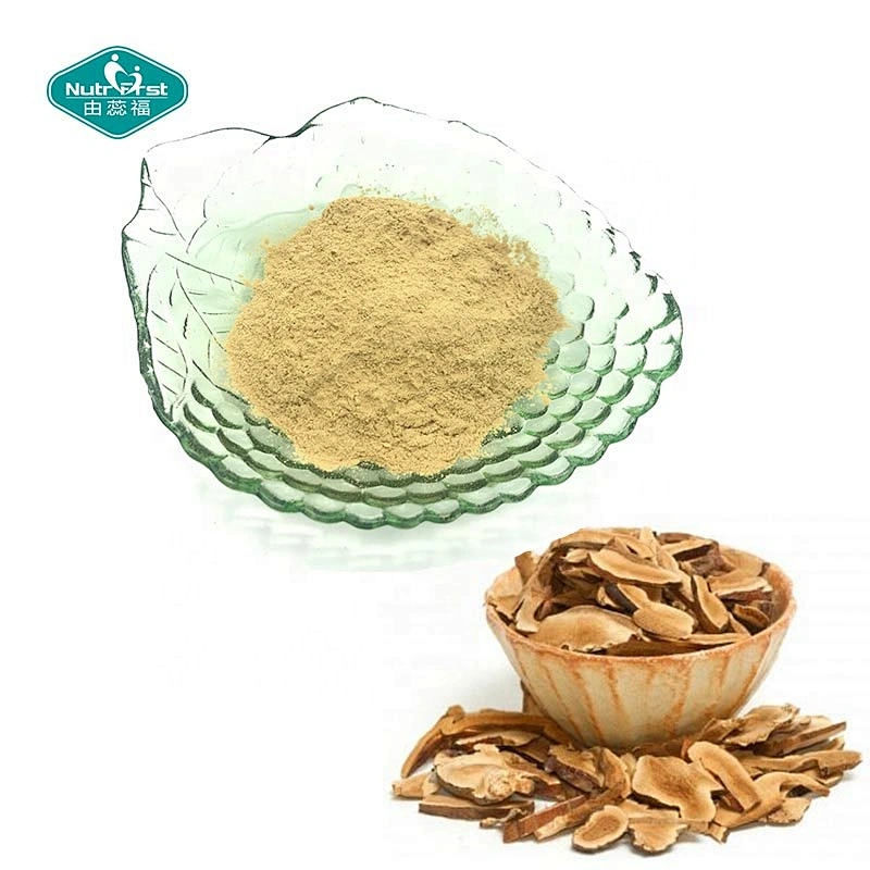 Extracto de polisacáridos de hierbas chinas Astragaloside Powder Astragalus Root Membranaceus Extracto a granel