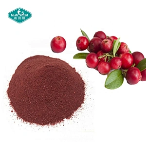 Nutrifirst Supply Proantocianidinas Vaccinium Macrocarpon Extracto de fruta de arándano en polvo Soluble en agua a granel