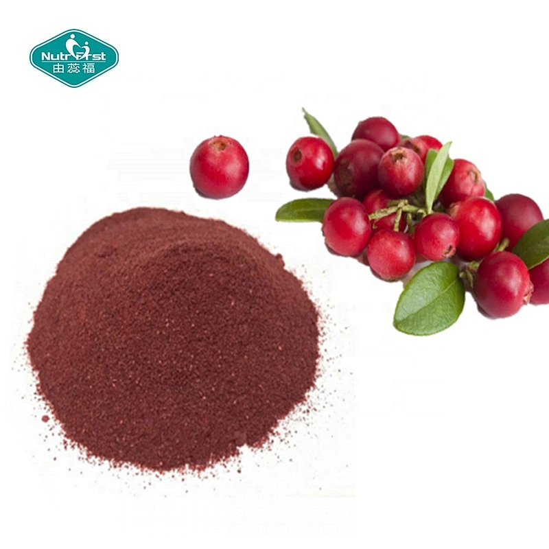 Nutrifirst Supply Proantocianidinas Vaccinium Macrocarpon Extracto de fruta de arándano en polvo Soluble en agua a granel