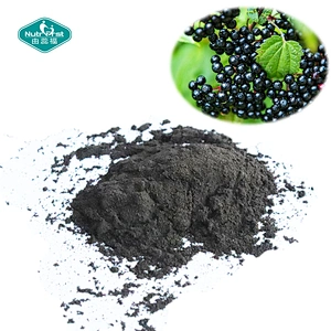 Nutrfirst Wholesale Fruit Extract 100% Pure Freeze Dried Elderberry Extract Water Soluble Fruit Juice Powder