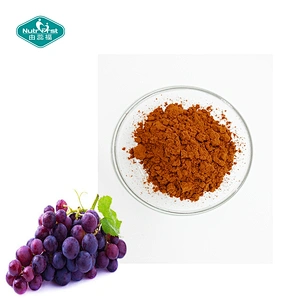 Fruit Extract Wholesale 95% Polyphenols Proanthocyanidins Grape Seed Extract