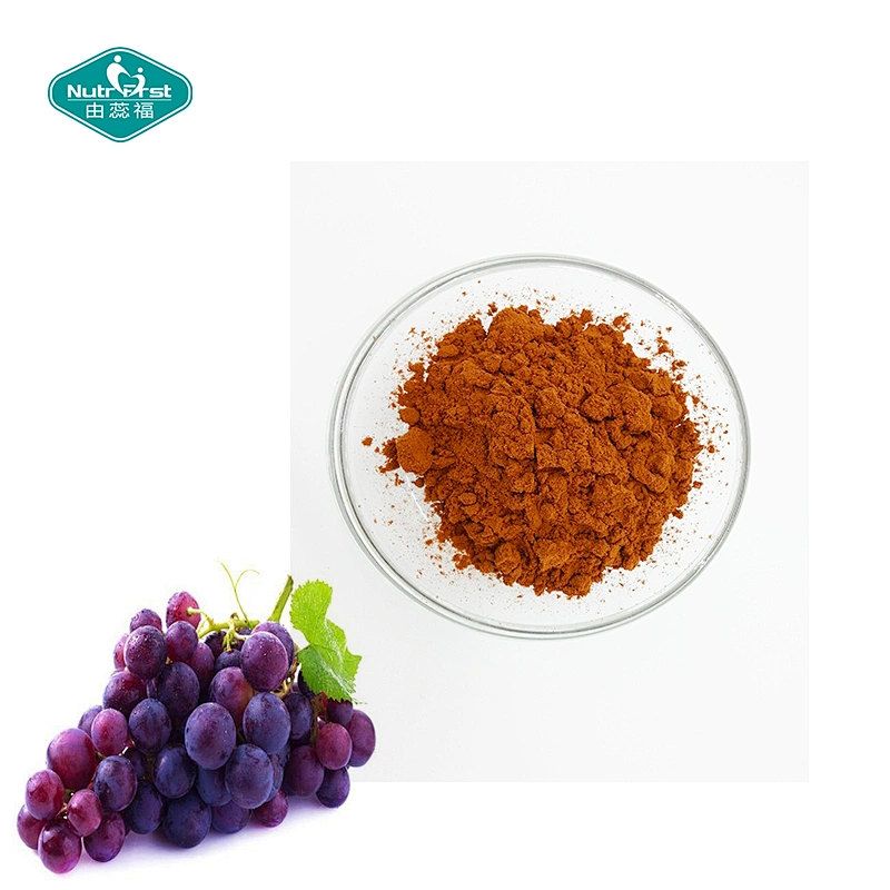 Fruit Extract Wholesale 95% Polyphenols Proanthocyanidins Grape Seed Extract