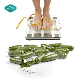 Productos para perder peso Dieta Extracto de hierba delgada Cápsulas de extracto de hoja de Moringa Oleifera Suplemento de hierbas orgánicas