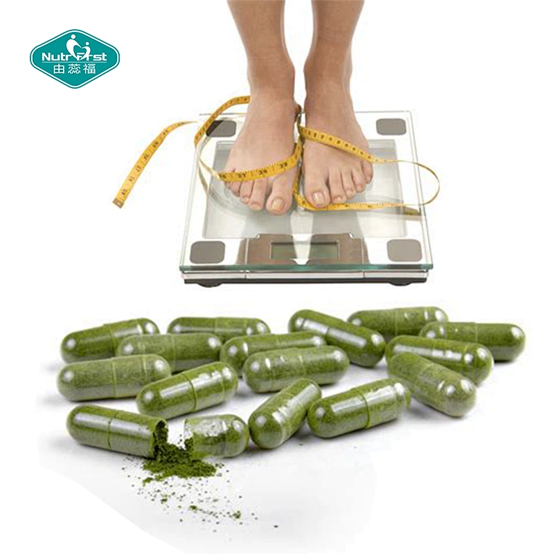 Productos para perder peso Dieta Extracto de hierba delgada Cápsulas de extracto de hoja de Moringa Oleifera Suplemento de hierbas orgánicas