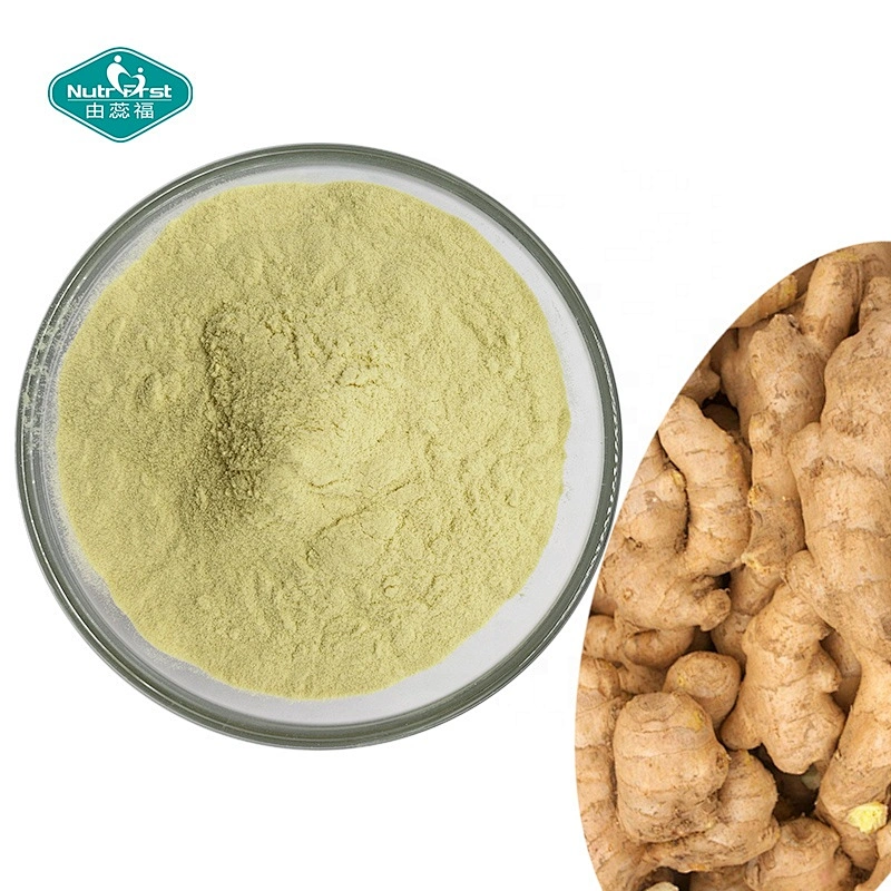 Professional Supplier Ginger Root Oleoresin Extract Gingerol Powder 10:1 Kaempferia Parviflora Extract