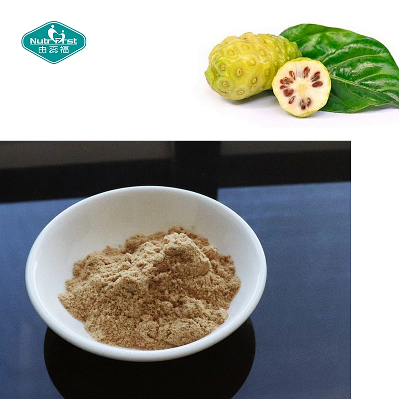 Polvo de Noni de grado alimenticio Nutrifirst, polvo de extracto de fruta Ultra, polvo de fruta de Noni secado por pulverización fresco puro