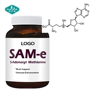 Nutrifirst Private Label Premium 1000mg SAM-e S-Adenosyl Methionine Capsule for Immune Health