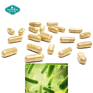Custom Customization Gut Health Probiotic Supplements Herbal Extract Probiotics Capsule for Digestive System